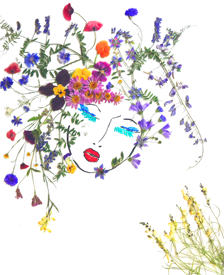 Bild aus getrockneten Blumen