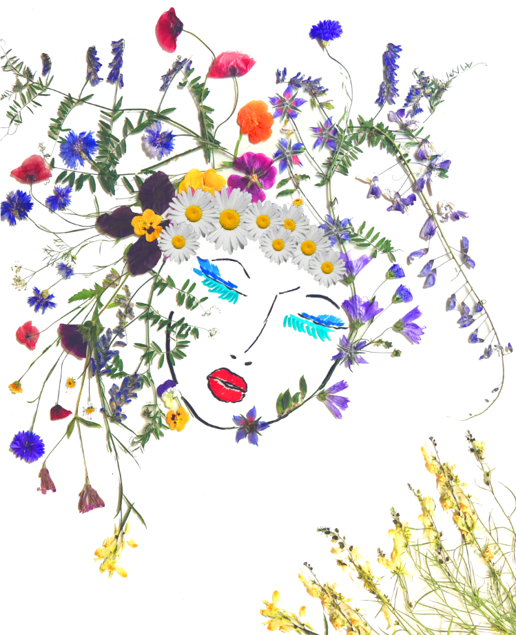 Bild aus getrockneten Blumen